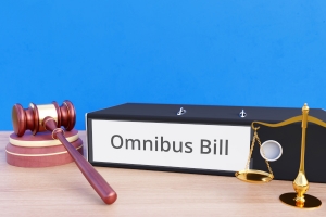 Omnibus bill