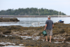 Man gathers seaweed
