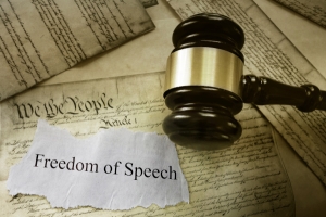 Constitution freedom of speech