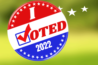 I voted 2022 elections button